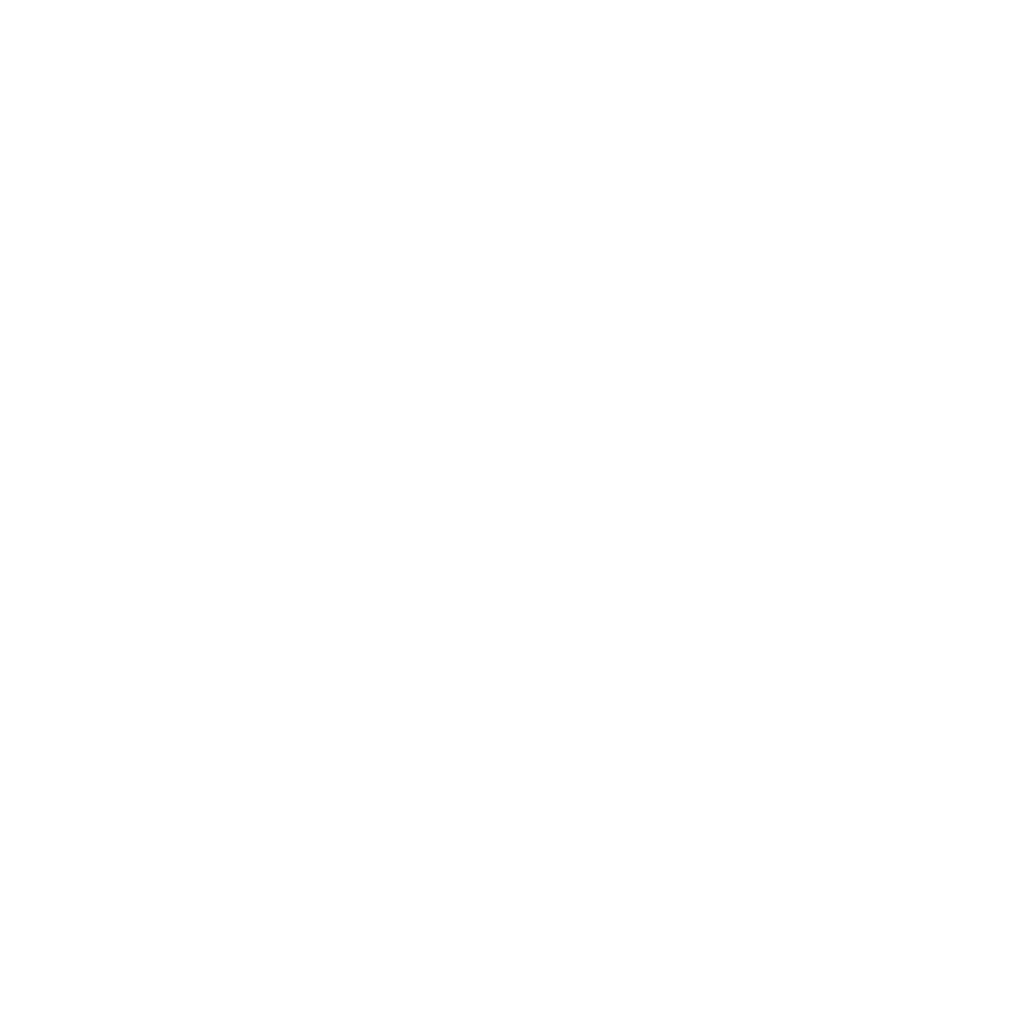 Skyro Media